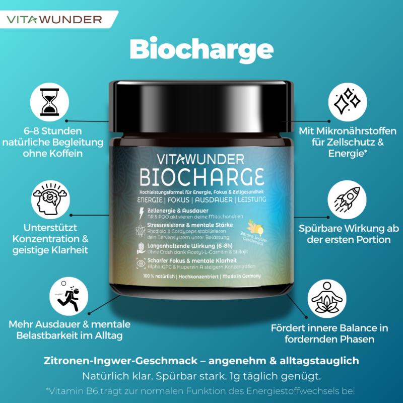 Biocharge Icons