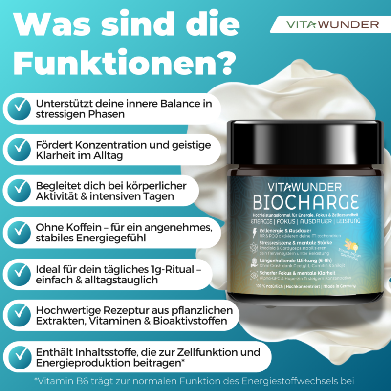 Biocharge - Was sind die Funktionen
