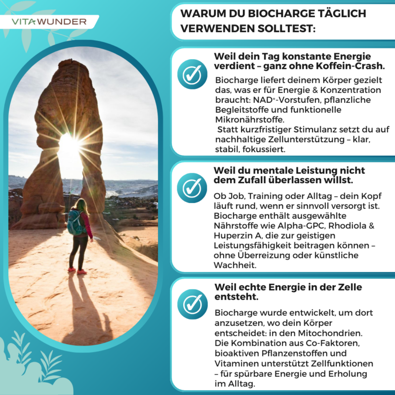 Warum du Biocharge täglich verwenden solltest 2